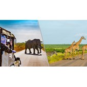 Fazer um Safari na África do Sul